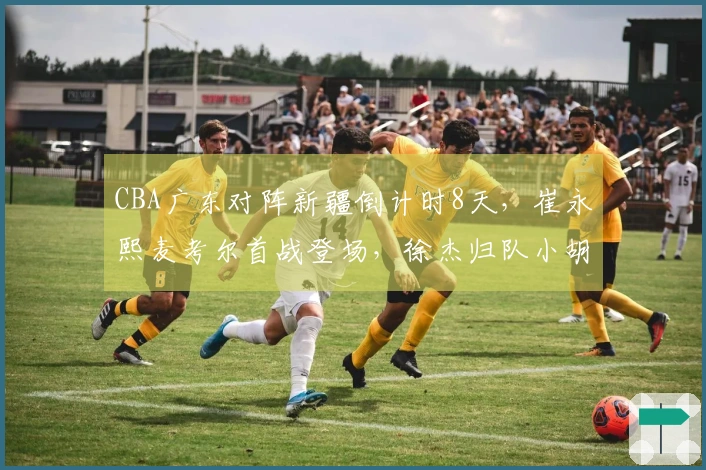 CBA广东对阵新疆倒计时8天，崔永熙麦考尔首战登场，徐杰归队小胡缺席