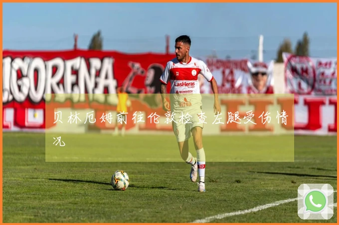 贝林厄姆前往伦敦检查左腿受伤情况